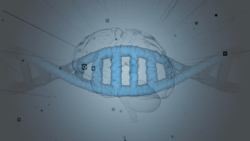 Brain silhouette appearing and initiating blue double-helix rotating outward for data visualization. Futuristic, scientific, technology, visualization, molecular, digital, innovation - Powered by Shutterstock - Get 15% off with code: PIKWIZARD15