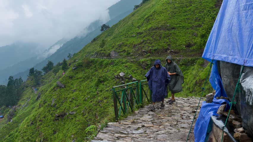 Two young men travel through the tropical jungles of the Buda Madmaheshwar Temple trail bugyal, Rudraprayag, Uttarakhand, India.