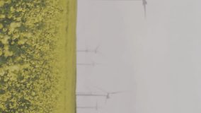 Animation of financial and stock market data processing against spinning windmills on grassland. Global economy and renewable energy technology concept - Powered by Shutterstock - Get 15% off with code: PIKWIZARD15