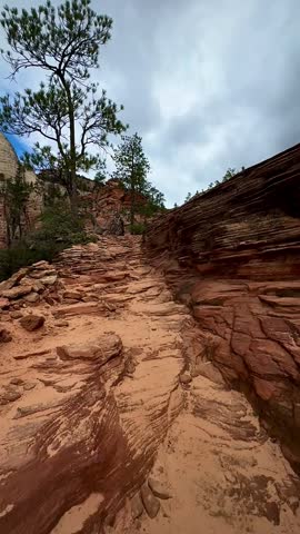 Zion’s Red Sandstone Layers (Zion National Park, Utah, USA)