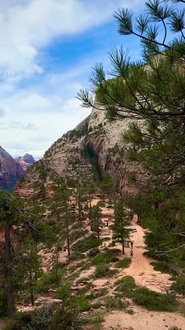 High in the Red Zion Mountains (Zion National Park, Utah, USA)