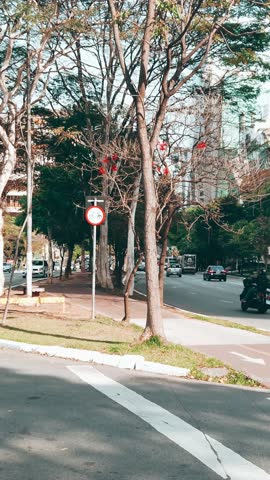 Faria Lima Avenue, São Paulo