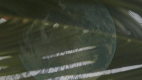 Animation of financial data processing over couple on beach. Global holiday, finance, computing, connections and data processing concept digitally generated video. - Powered by Shutterstock - Get 15% off with code: PIKWIZARD15