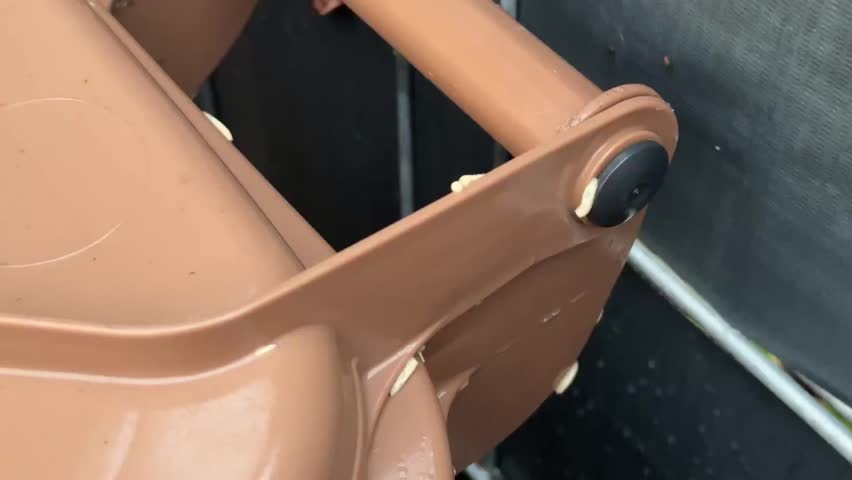 Made, Mülltonne, Maden, weiße Maden, Biomüll, Biotonne, Larve, Parasiten, Maggot, Wurm, worm, garbage can, maggots, white maggots, vermin, insects, garbage, organic waste, summer, worms, decay, larvae