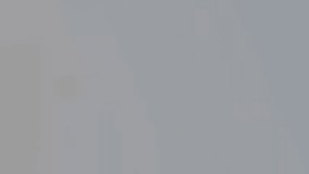 Animation of data processing and diagrams over female worker talking on smartphone. Global business, technology and digital interface concept digitally generated video. - Powered by Shutterstock - Get 15% off with code: PIKWIZARD15