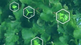 Animation of network of eco icons over happy caucasian couple with grapes. Global environment, connections, computing and data processing concept digitally generated video - Powered by Shutterstock - Get 15% off with code: PIKWIZARD15