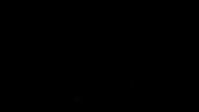 Snowflakes falling animation over green pine branches on black background. Winter, Christmas, holiday, festive, snowfall, nature - Powered by Shutterstock - Get 15% off with code: PIKWIZARD15