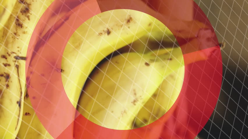 Animation of statistics and data processing over fruit in baskets in food shop. Business, retail, communication, digital interface, finance and data processing concept digitally generated video. - Powered by Shutterstock - Get 15% off with code: PIKWIZARD15