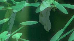 Animation of 3d green dna strand spinning over plants. Global medicine, science and genetics digitally generated video. - Powered by Shutterstock - Get 15% off with code: PIKWIZARD15