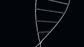 Animation of rotating dna helix over circuit board texture against abstract background. Digitally generated, hologram, molecule, genetic, illuminated, medical, healthcare and technology concept. - Powered by Shutterstock - Get 15% off with code: PIKWIZARD15