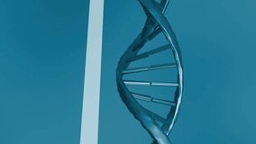 Animation of dna strand and data processing. Global science, connections, computing and data processing concept digitally generated video. - Powered by Shutterstock - Get 15% off with code: PIKWIZARD15