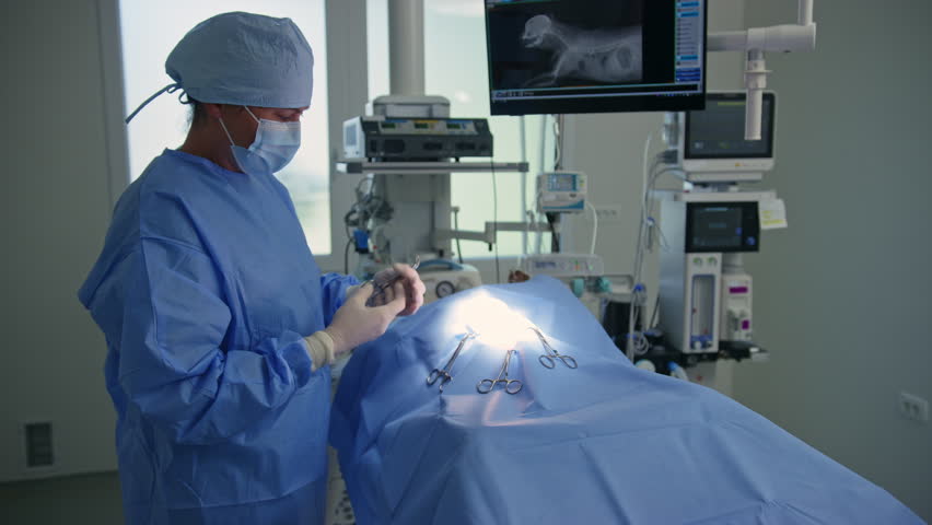 Two veterinary professionals preparing dog on the operating table for surgery, medium shot. Vet clinic and animal healthcare concept.
