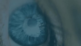 Animation of financial data processing with statistics over woman's eye. global connection, data processing and digital interface concept digitally generated video. - Powered by Shutterstock - Get 15% off with code: PIKWIZARD15