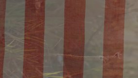 Animation of vintage american flag billowing over eagle and data processing. patriotism, independence, finance and communication concept digitally generated video. - Powered by Shutterstock - Get 15% off with code: PIKWIZARD15