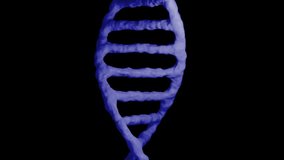 Animation of clock moving over dna strand on black background. Global science and digital interface concept digitally generated video. - Powered by Shutterstock - Get 15% off with code: PIKWIZARD15