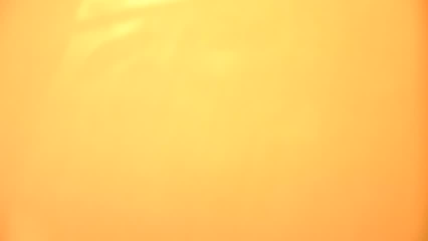 Soft blurred shadows on beige. Sunset sunlight, overlay shadow on beige background. Minimal style, copy space, template. Sunny autumn style aesthetic. Video transition. Presentation, multiple exposure