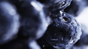 Blueberries with social media like icons and 41 likes animation. followers, engagement, digital, interaction, emoji, thumbs up - Powered by Shutterstock - Get 15% off with code: PIKWIZARD15