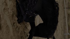 Financial data graph animation over person lying on sandy ground. Finance, analytics, data visualization, sandy beach, contrast, technology - Powered by Shutterstock - Get 15% off with code: PIKWIZARD15