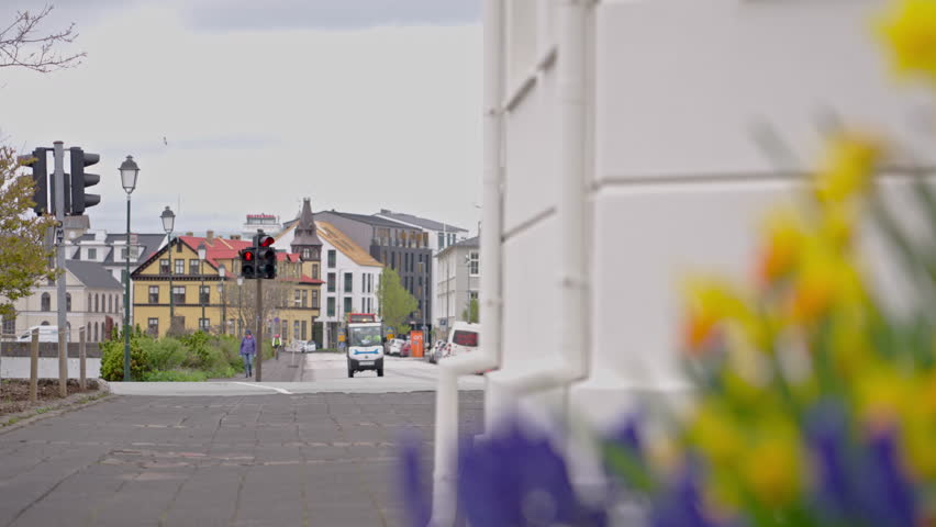 Man walks through downtown Reykjavik amid urban traffic and vibrant flowers