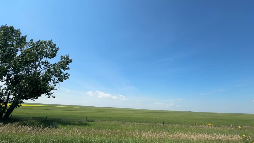 Driving past scenic farmland fields in the rural countryside, capturing open skies, agricultural landscapes, crops, grasslands, and peaceful farm views along a quiet country road in Alberta, Canada.