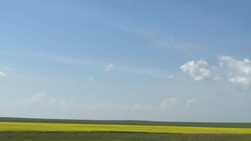 Driving past scenic farmland fields in the rural countryside, capturing open skies, agricultural landscapes, crops, grasslands, and peaceful farm views along a quiet country road in Alberta, Canada.
