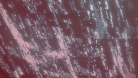 Animation of security padlock and biometric fingerprint scanner over world map and data processing. Cyber security and business networking technology concept - Powered by Shutterstock - Get 15% off with code: PIKWIZARD15