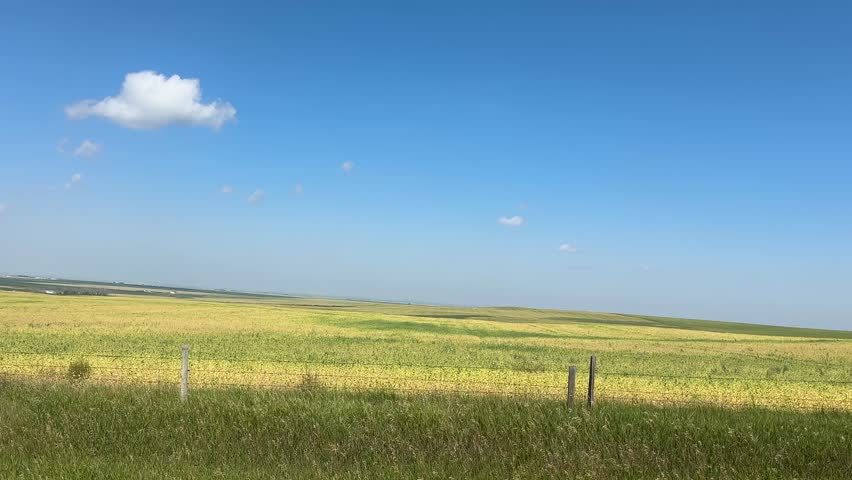 Driving past scenic farmland fields in the rural countryside, capturing open skies, agricultural landscapes, crops, grasslands, and peaceful farm views along a quiet country road in Alberta, Canada.