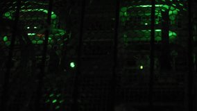 Animation of dna strand over server room. Global science and digital interface concept digitally generated video. - Powered by Shutterstock - Get 15% off with code: PIKWIZARD15