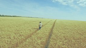 Man walking along wheat track, stepping and updating social media notification bubble with confetti. Agriculture, progress, networking, outdoor, pastoral, rural, innovation - Powered by Shutterstock - Get 15% off with code: PIKWIZARD15