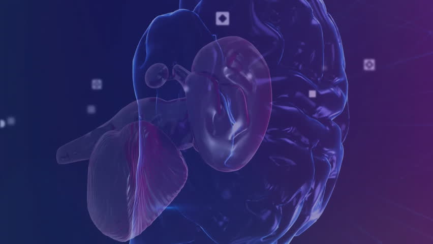 Animation of data processing and brain over network and media icons on dark background. Data, science, healthcare, digital interface, connection, research and communication, digitally generated video. - Powered by Shutterstock - Get 15% off with code: PIKWIZARD15