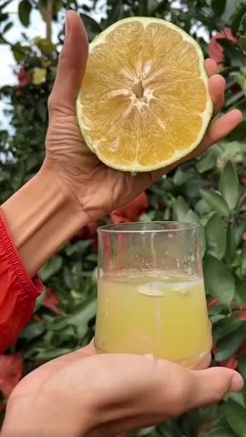 Fresh lemon juice being squeezed by hand.
