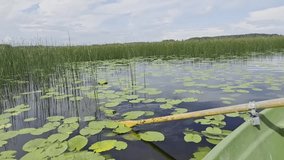 Lake with water lilies and water plants in a cloudy day, view from a boat. The stroke of an oar over the water - Powered by Shutterstock - Get 15% off with code: PIKWIZARD15
