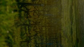 Animation of financial graphs over agricultural field and electricity poles. energy, electricity, finance and economy concept digitally generated video. - Powered by Shutterstock - Get 15% off with code: PIKWIZARD15