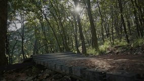 Thrilling perspective mountain biker crossing rustic wooden bridge while riding rugged trail in bike park. Sheer adrenaline during downhill biking in beautiful setting of mountain forest. Woods trees - Powered by Shutterstock - Get 15% off with code: PIKWIZARD15
