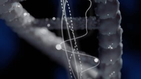 Animation of diagrams over dna strand. Technology, science and digital interface concept digitally generated video. - Powered by Shutterstock - Get 15% off with code: PIKWIZARD15