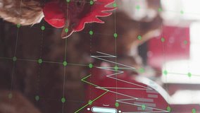 Animating financial data chart over chickens in farm setting. Agriculture, finance, charts, poultry, economy, technology - Powered by Shutterstock - Get 15% off with code: PIKWIZARD15