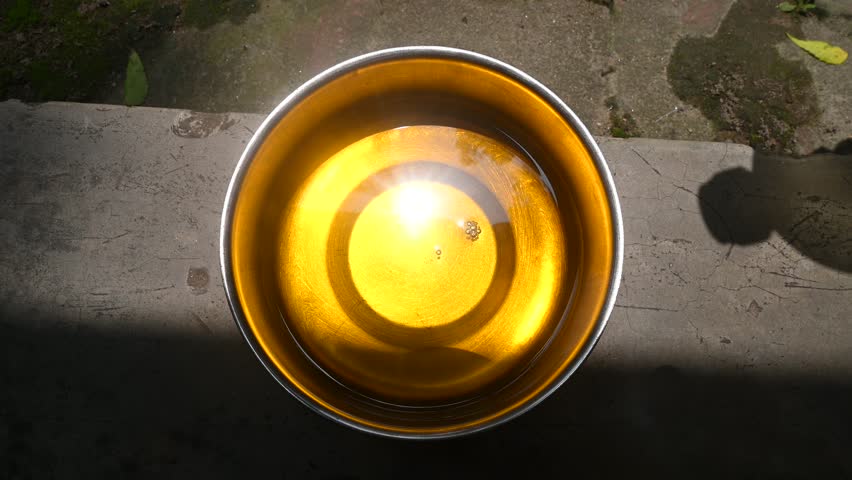 Mustard oil is a cooking oil extracted from mustard seeds known as Brassica campestris (Brassica rapa) strong aroma, known for rich flavor, and high antioxidant properties fatty acids, erucic acid