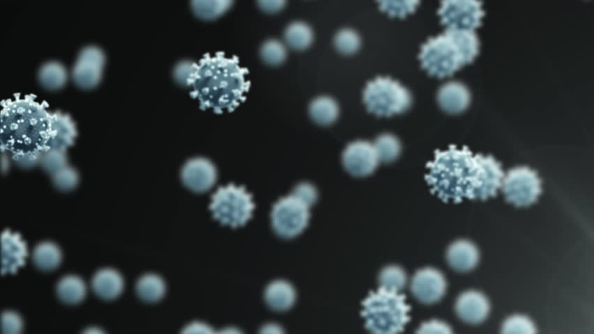 Animation of virus cells over medical data processing. global science and digital interface during covid 19 pandemic concept digitally generated video. - Powered by Shutterstock - Get 15% off with code: PIKWIZARD15