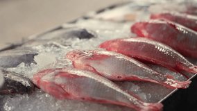 Red tilapia fish display on ice in  at a traditional morning market in Thailand. - Powered by Shutterstock - Get 15% off with code: PIKWIZARD15