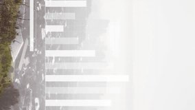 Animation of financial data processing over cityscape. Global business, finances and digital interface concept digitally generated video. - Powered by Shutterstock - Get 15% off with code: PIKWIZARD15