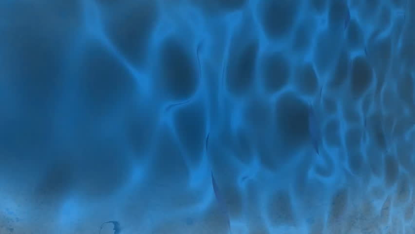 Animation of clock moving fast over blue pattern background. Time, colour, nature, shape and movement concept digitally generated video. - Powered by Shutterstock - Get 15% off with code: PIKWIZARD15