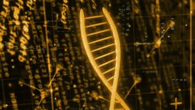 Animation of digital data processing and dna strands on black background. Global science, research, connections, computing and data processing concept digitally generated video. - Powered by Shutterstock - Get 15% off with code: PIKWIZARD15