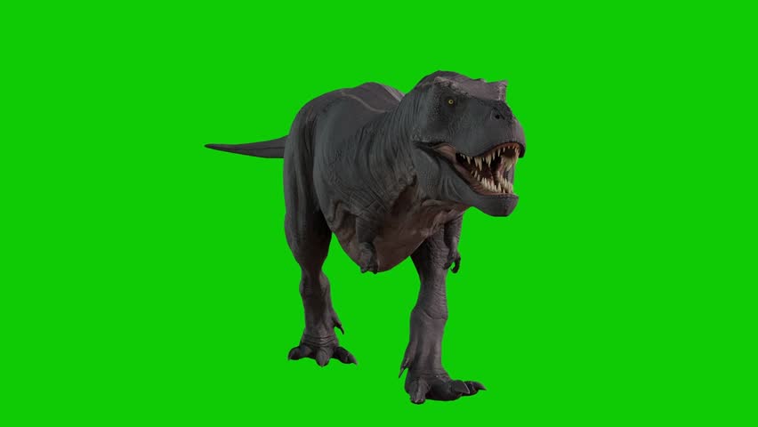 A fearsome Tyrannosaurus Rex dinosaur roars and moves on a green screen background - Powered by Shutterstock - Get 15% off with code: PIKWIZARD15