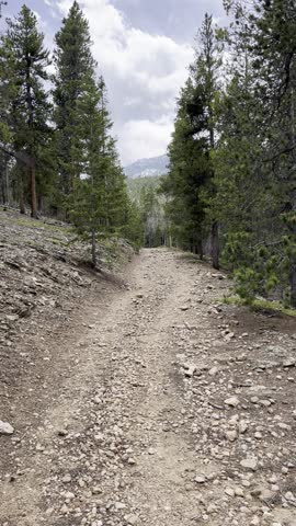 Colorado Trail, Rocky Mountains, alpine forest, mountain landscape, scenic view, wilderness path, outdoor exploration, pine trees, forest trail, rugged terrain, nature travel, blue sky, hiking 