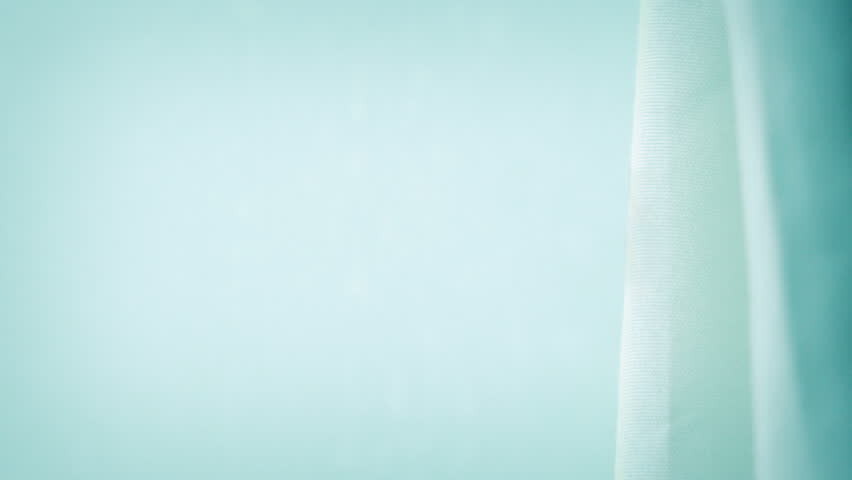 Fly Lands On Curtain And Flies Off