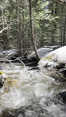 Colorado Trail, Rocky Mountains, alpine forest, mountain landscape, scenic view, wilderness path, outdoor exploration, pine trees, forest trail, rugged terrain, nature travel, blue sky, hiking 