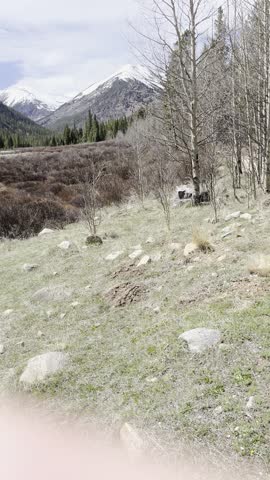 Colorado Trail, Rocky Mountains, alpine forest, mountain landscape, scenic view, wilderness path, outdoor exploration, pine trees, forest trail, rugged terrain, nature travel, blue sky, hiking 