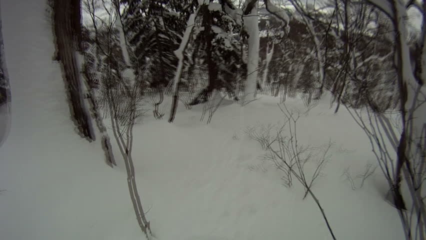 Snowboarding Backcountry Through Forest Deep Powder Snow
