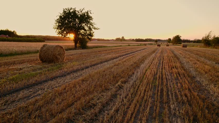 Drone Footage of a Rural Landscape After Harvest with Round Hay Bales
