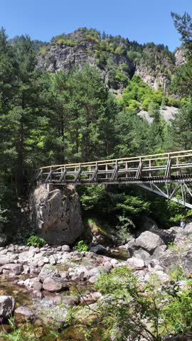 Summer view of Rila Mountain near Beli Iskar River, Sofia Region, Bulgaria